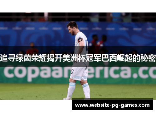追寻绿茵荣耀揭开美洲杯冠军巴西崛起的秘密 追寻绿茵荣耀揭开美洲杯冠军巴西崛起的秘密